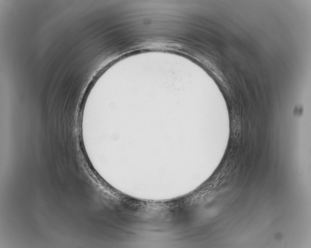 X0000096430848200802211145