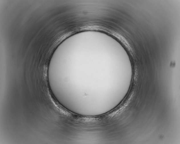 X0000096430849200802211145