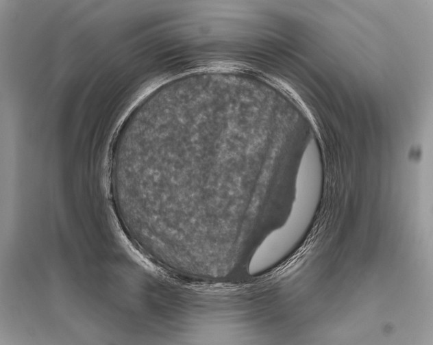 X0000096430851200802211145