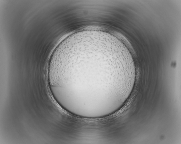 X0000096430852200802211145