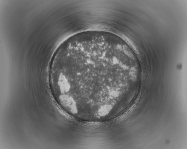 X0000096430854200802211145
