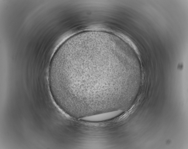 X0000096430855200802211145