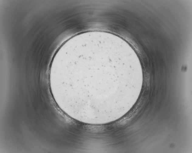 X0000096430856200802211145