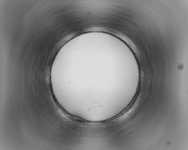 X0000096430857200802211145