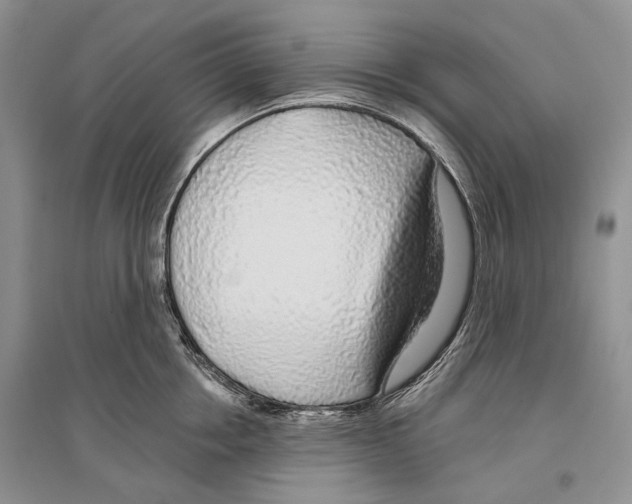 X0000096430858200802211146