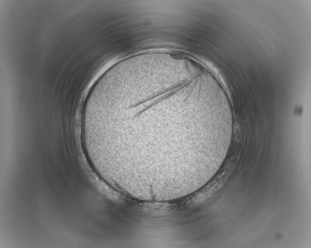 X0000096430859200802211146