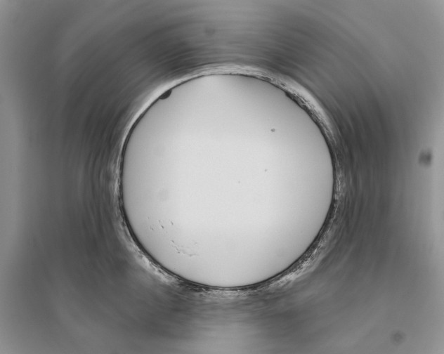 X0000096430860200802211146