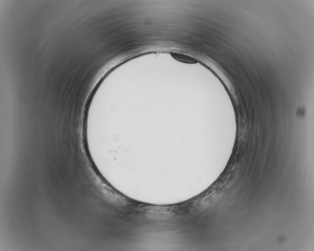 X0000096430861200802211146