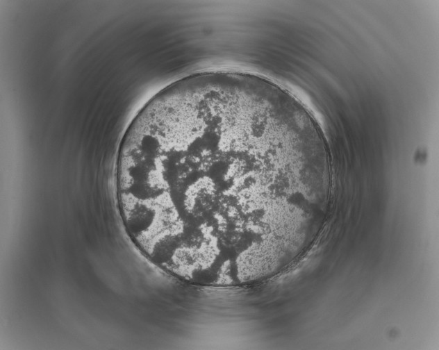 X0000096430863200802211146