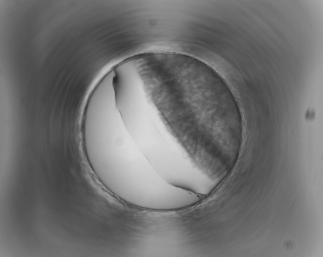 X0000096430864200802211146