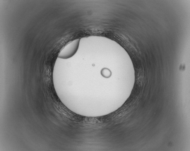 X0000096430866200802211145