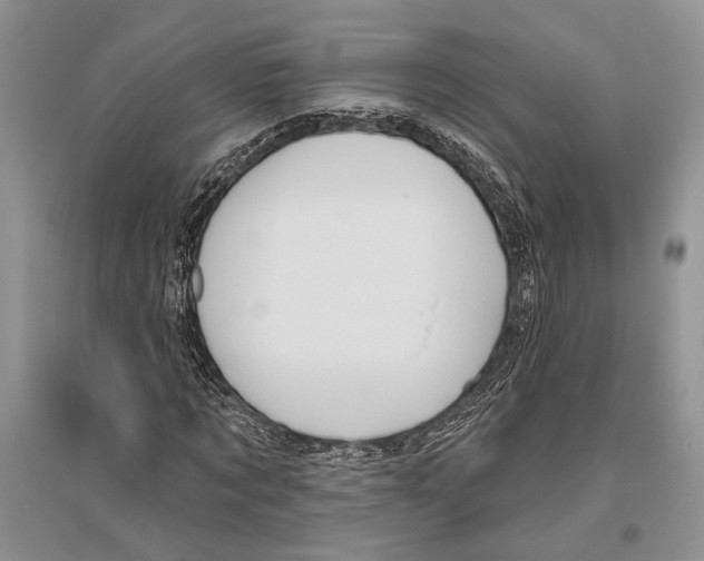 X0000096430869200802211145