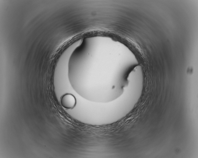 X0000096430872200802211145