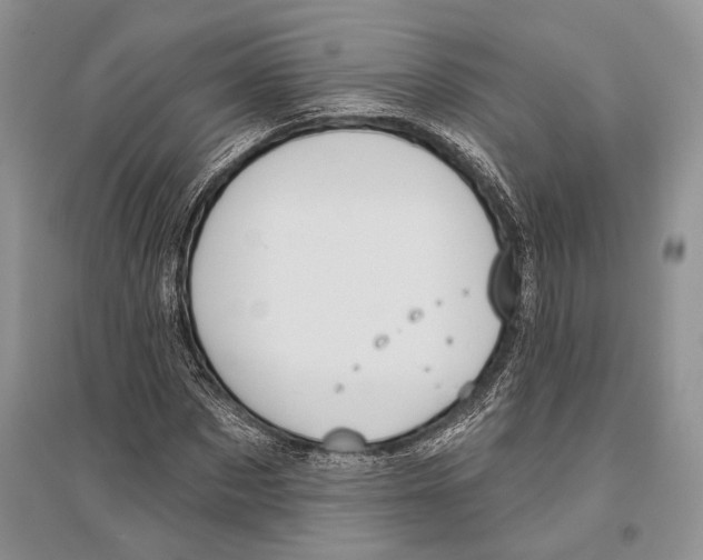 X0000096430873200802211145