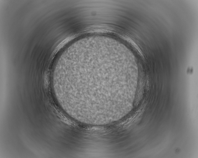 X0000096430874200802211145
