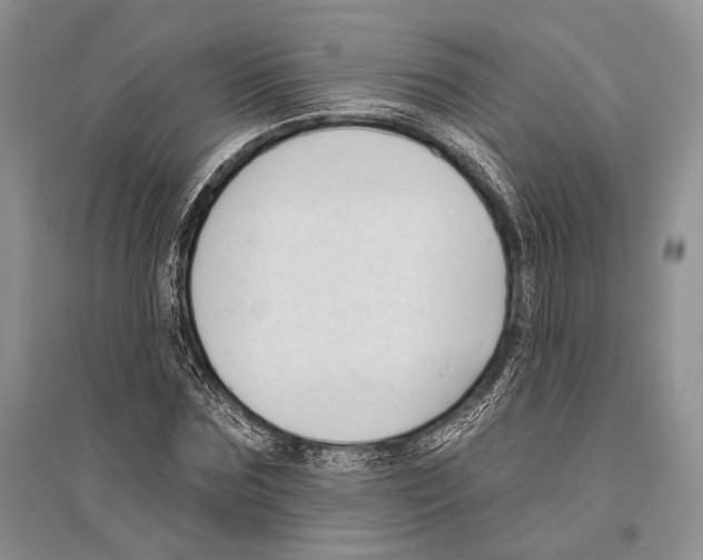 X0000096430875200802211145