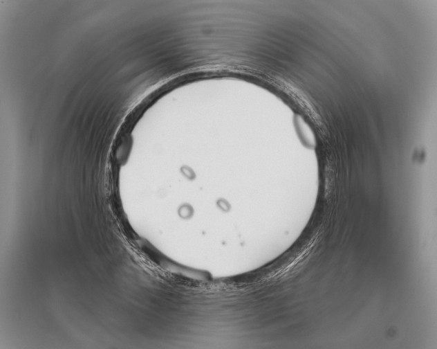 X0000096430876200802211145
