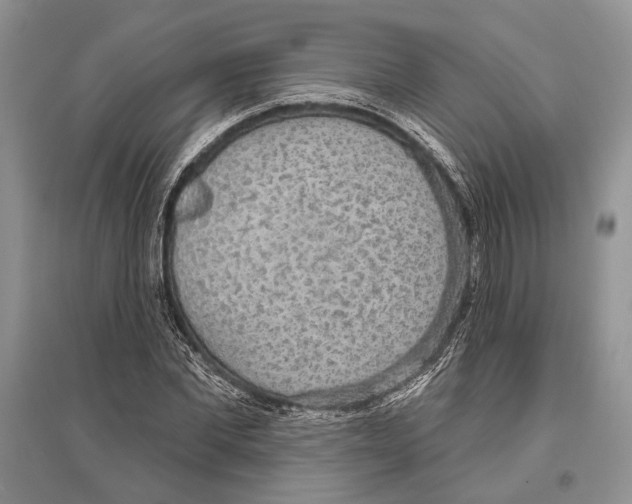 X0000096430877200802211145