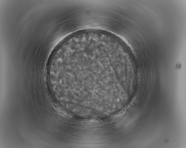 X0000096430879200802211145