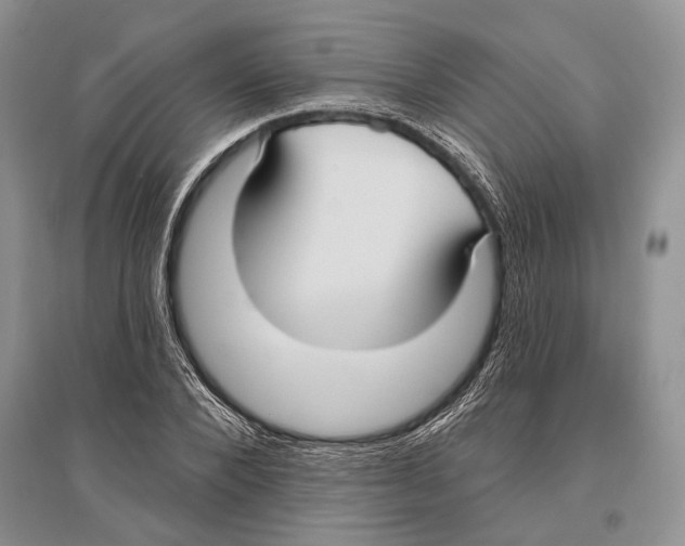 X0000096430880200802211145