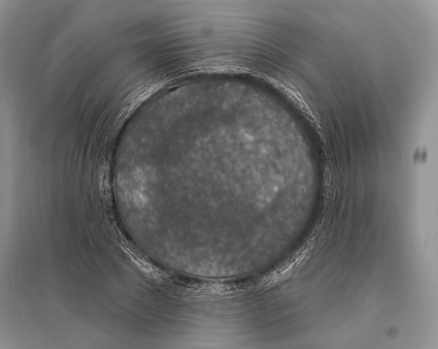 X0000096430881200802211145