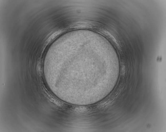 X0000096430882200802211144
