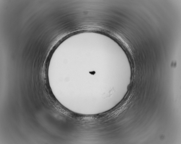 X0000096430883200802211144