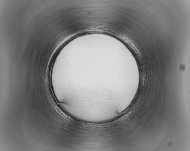 X0000096430884200802211144