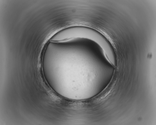 X0000096430885200802211144