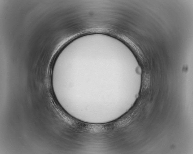 X0000096430886200802211144