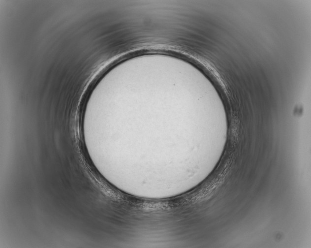 X0000096430887200802211144