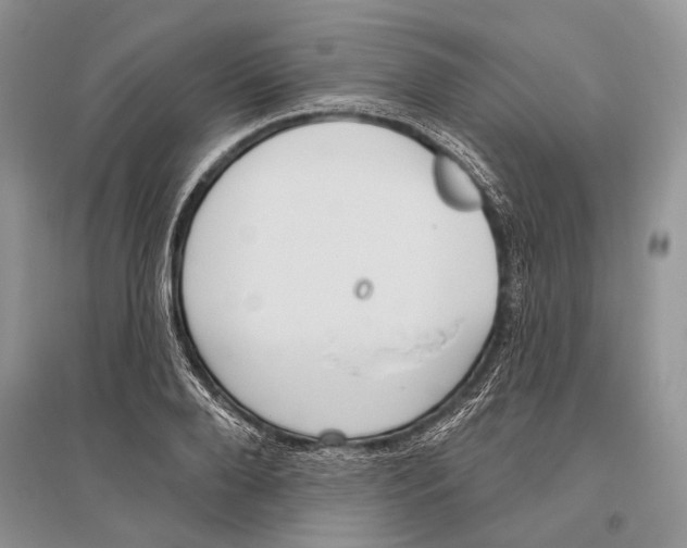 X0000096430888200802211144
