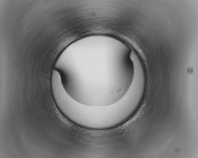 X0000096430889200802211144