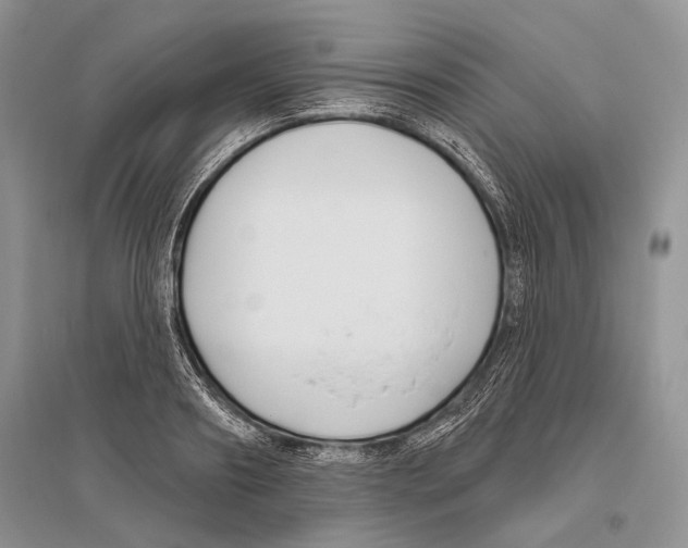X0000096430890200802211144