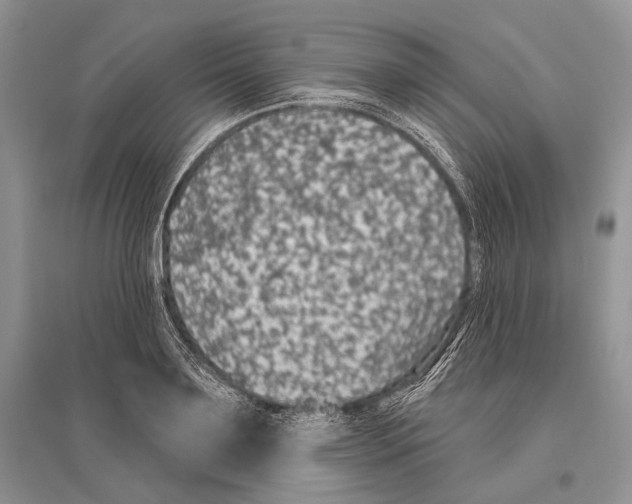 X0000096430891200802211144