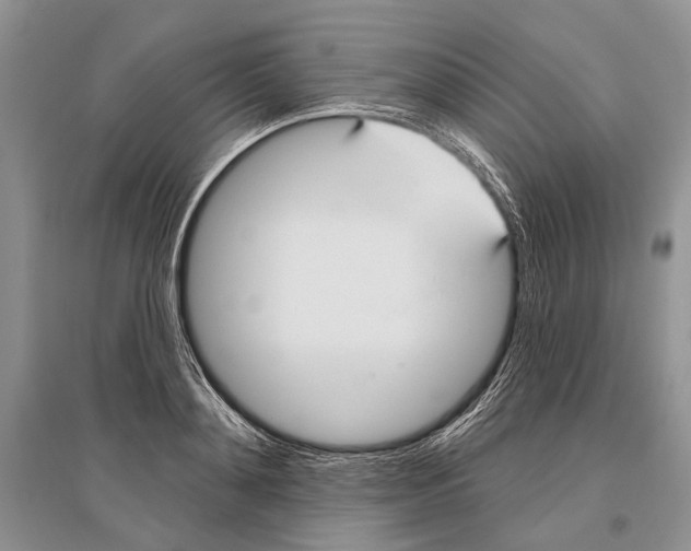 X0000096430892200802211144