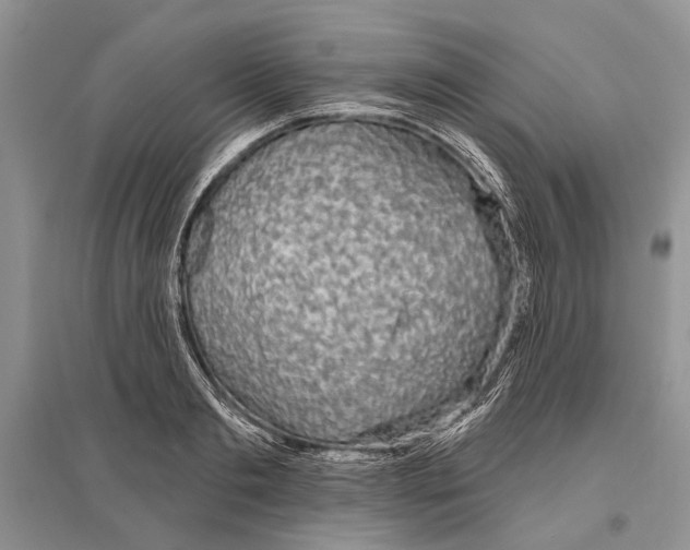X0000096430893200802211144