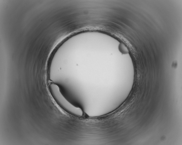 X0000096430894200802211144