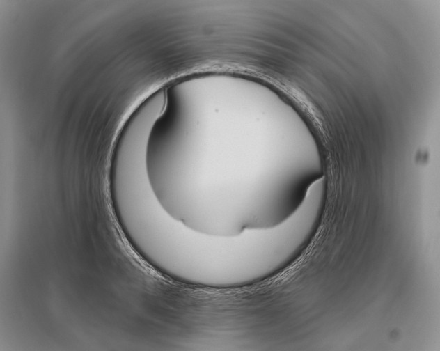 X0000096430896200802211144