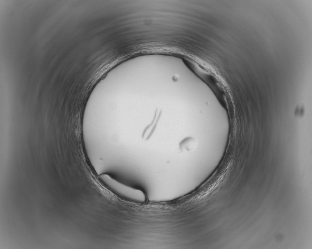 X0000096430897200802211144