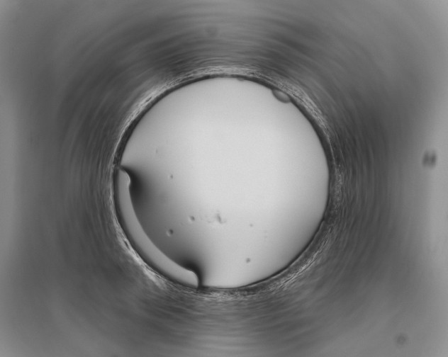 X0000096430898200802211144