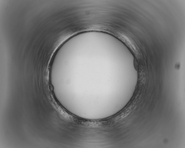 X0000096430900200802211144