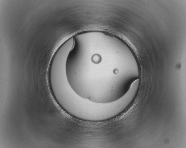 X0000096430901200802211144