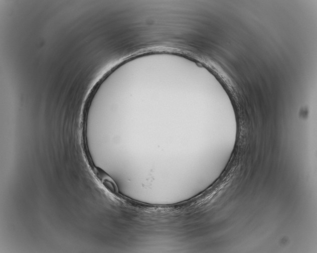 X0000096430902200802211144