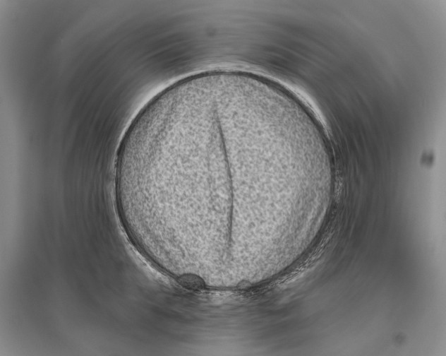 X0000096430903200802211144