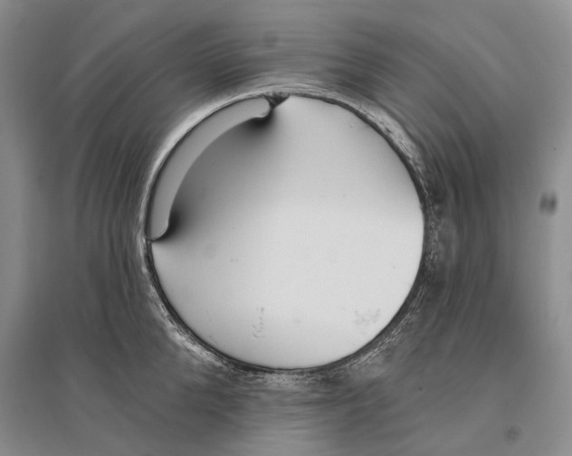 X0000096430904200802211144