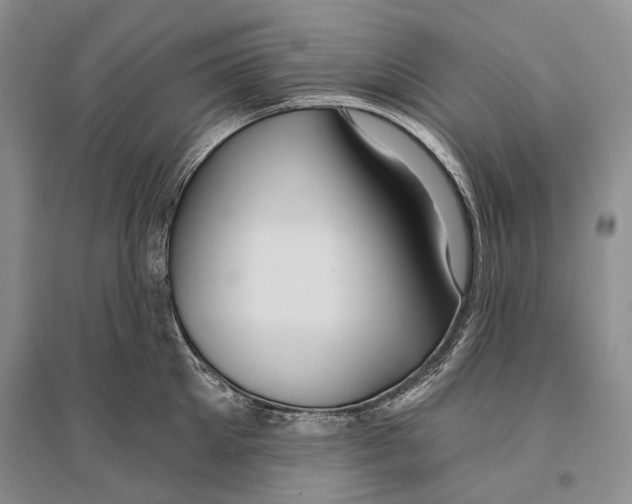X0000096430905200802211144