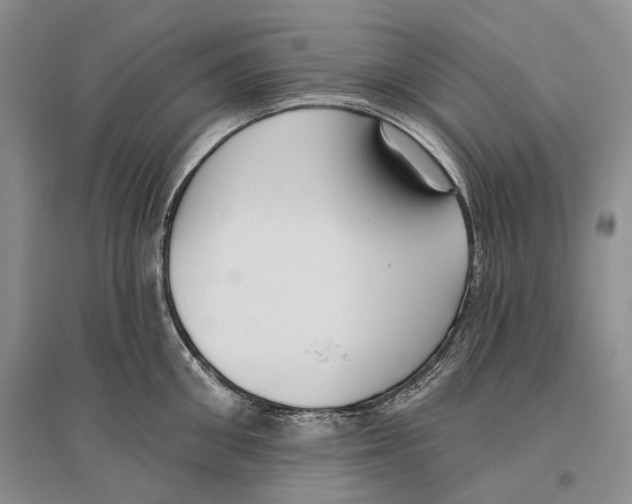 X0000096430906200802211144