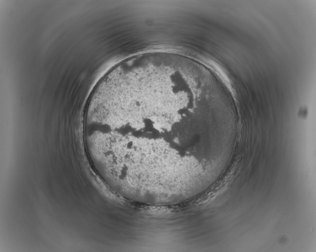 X0000096430907200802211144