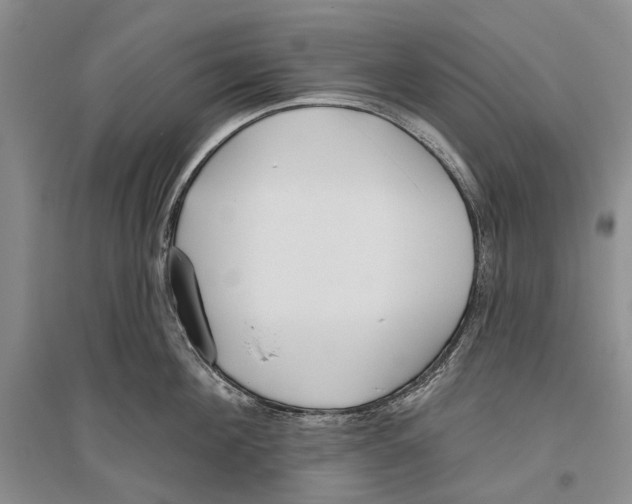 X0000096430908200802211144